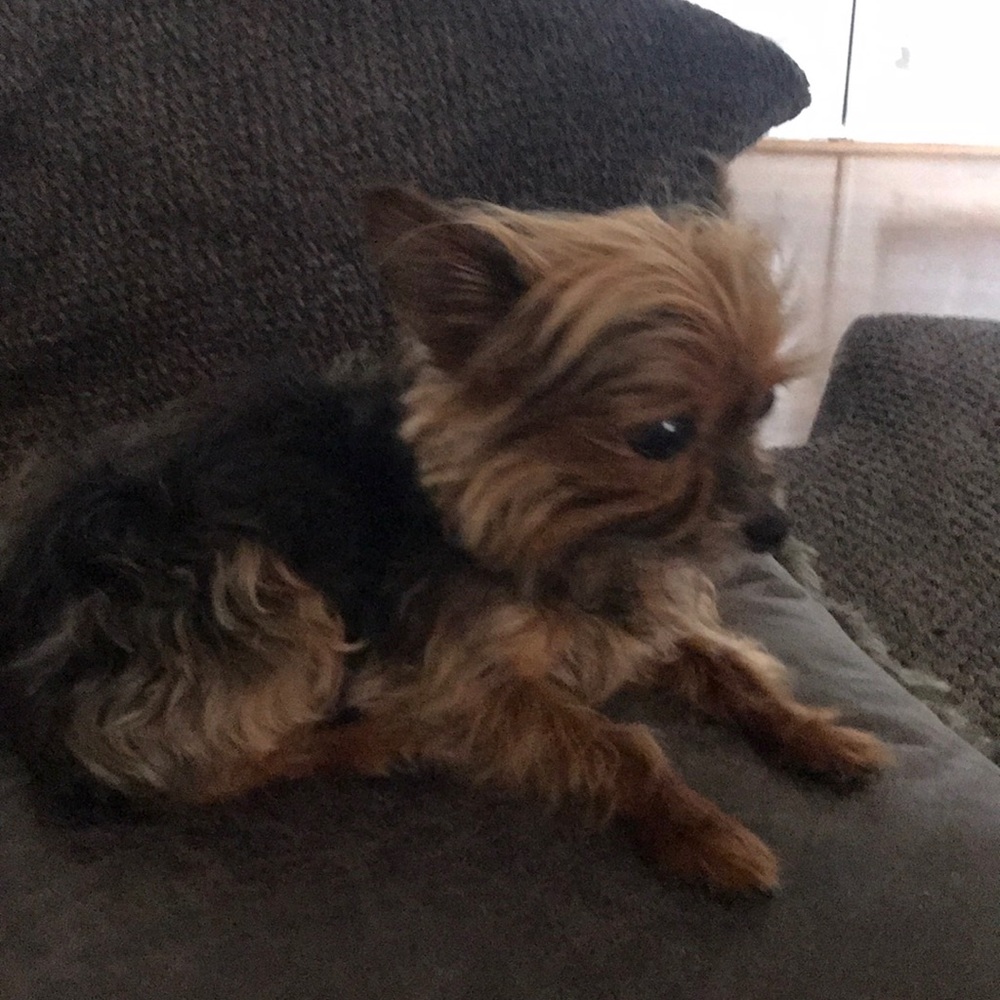 Meet your Posher, Derek